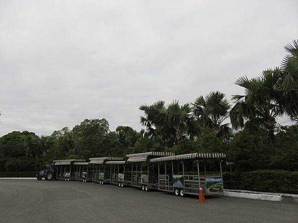 IMG_0967