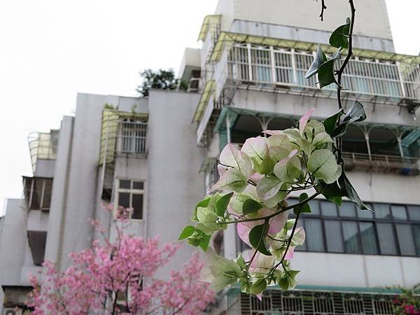 IMG_0485