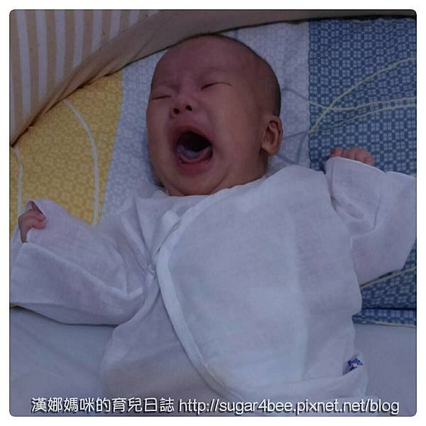 隨意放_1597.jpg