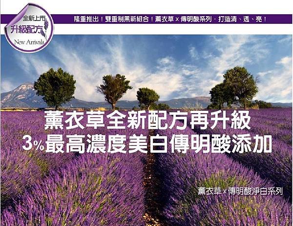 薰衣草田.jpg