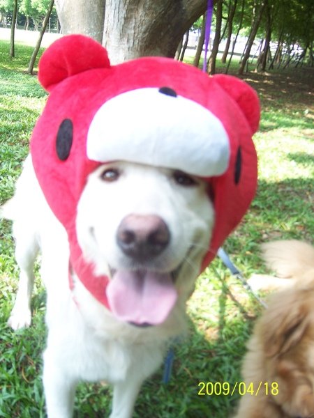 100_3398.JPG