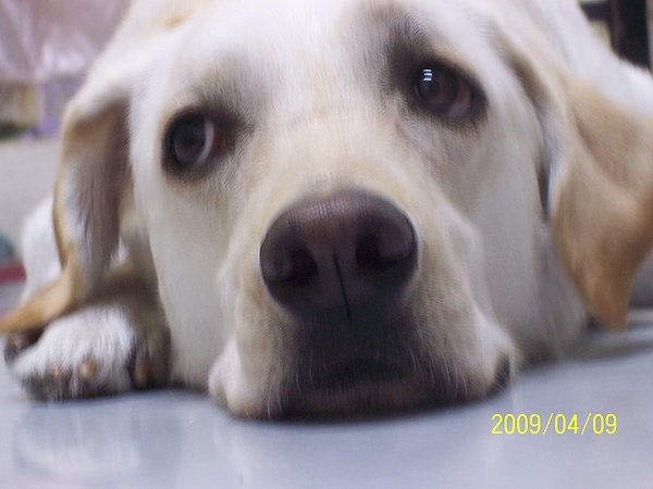 100_3217.JPG