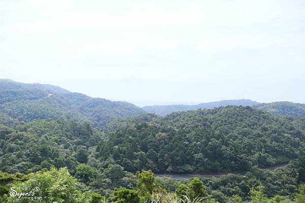 北宜公路縣界公園繡球花海30.jpg