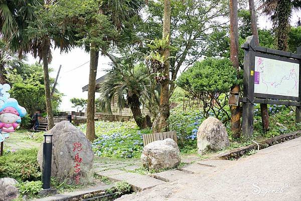 北宜公路縣界公園繡球花海35.jpg