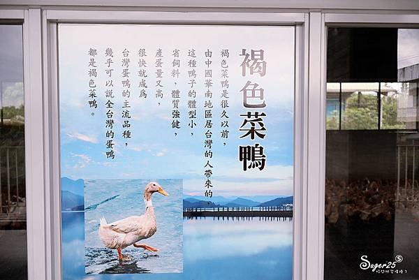 宜蘭親子景點甲鳥園6.jpg