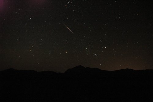 DSC_1982.JPG