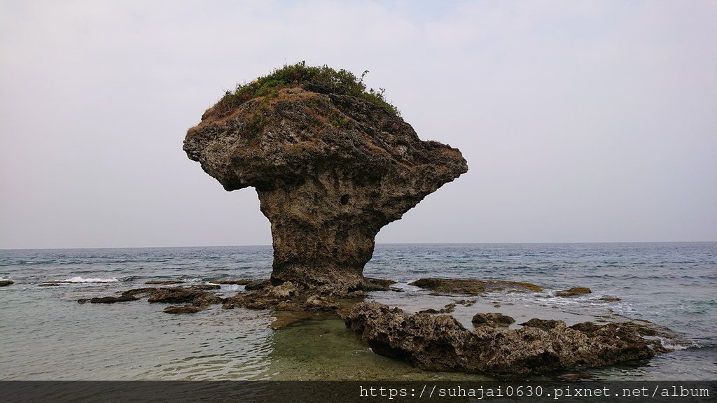 DSC_5597_調整大小 .JPG