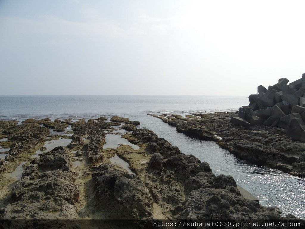 DSC01443_調整大小 .JPG