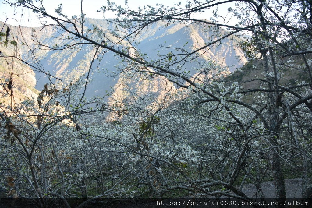 DSC_0020_調整大小 .JPG