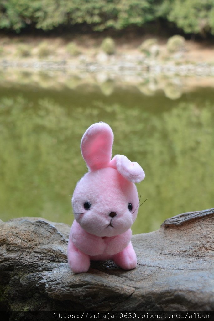DSC_0067_調整大小 .JPG