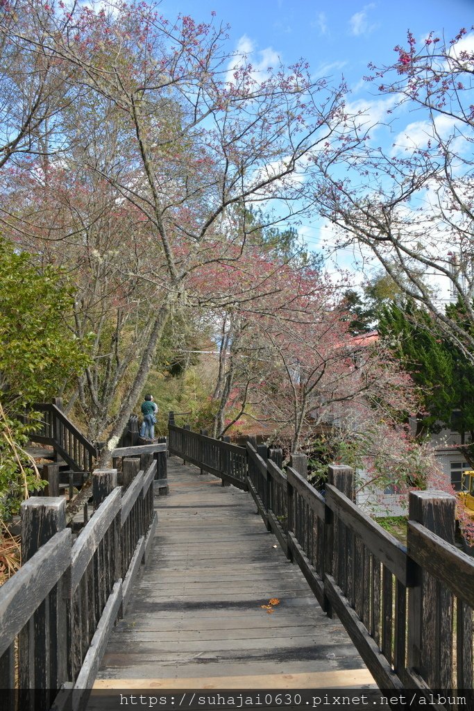 DSC_0098_調整大小 .JPG