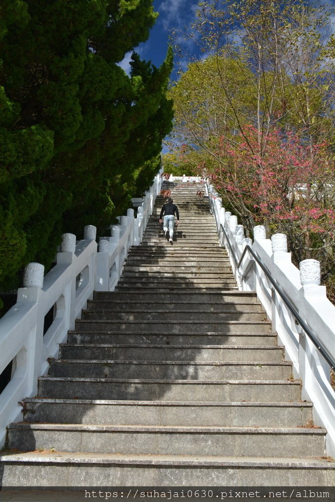 DSC_0099_調整大小 .JPG