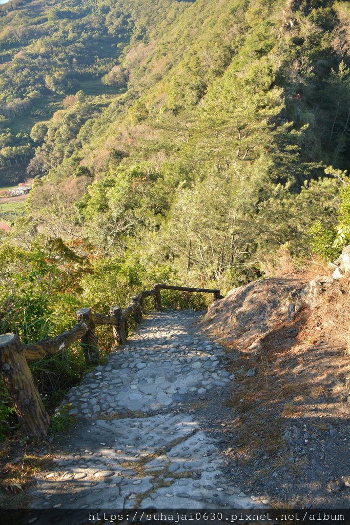 DSC_0202_調整大小 .JPG
