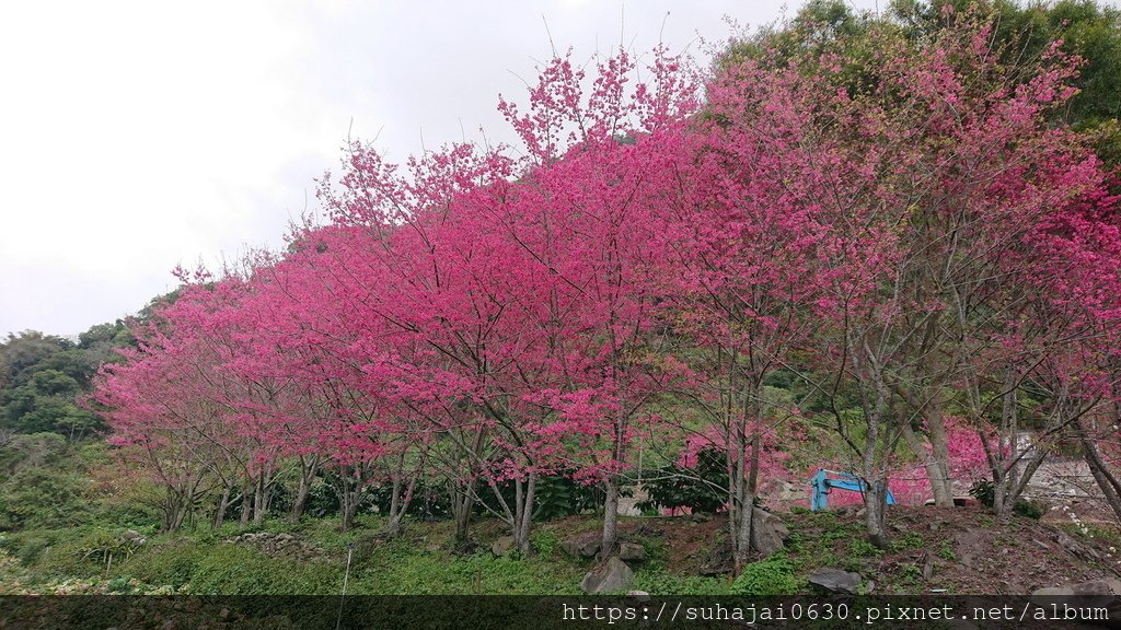 DSC_0552_調整大小 .JPG