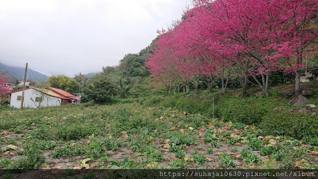 DSC_0553_調整大小 .JPG