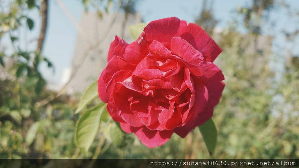 20241228_151659_調整大小 .JPG