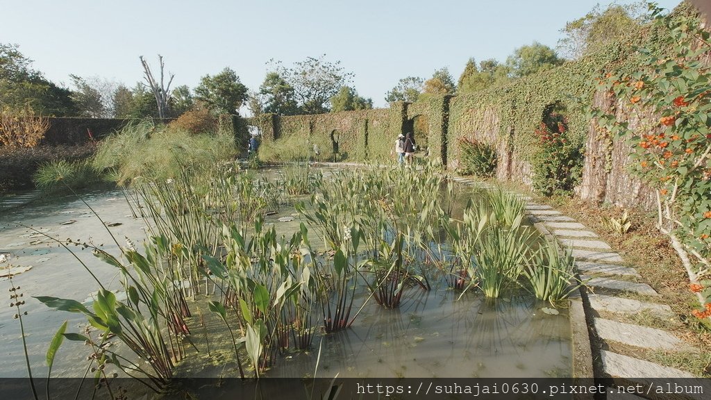20241228_153332_調整大小 .JPG