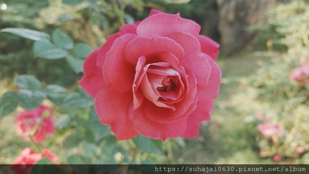 20241228_153946_調整大小 .JPG