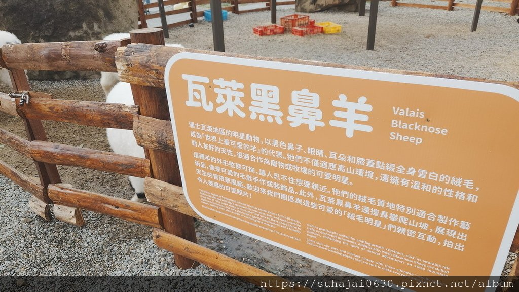 20250119_134032_調整大小 .JPG