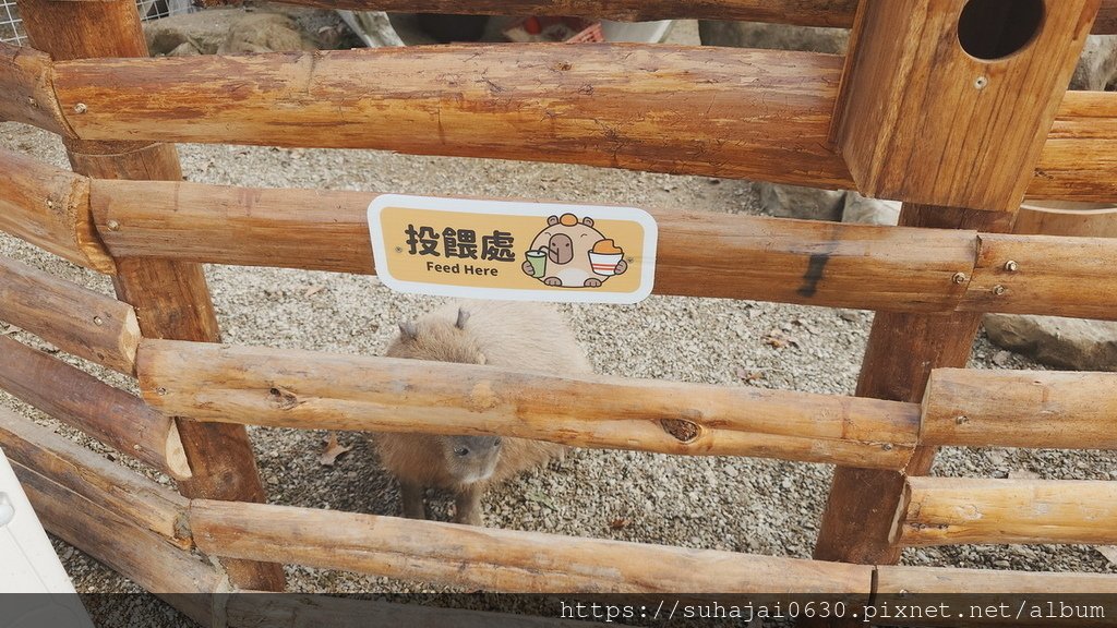 20250119_134308_調整大小 .JPG