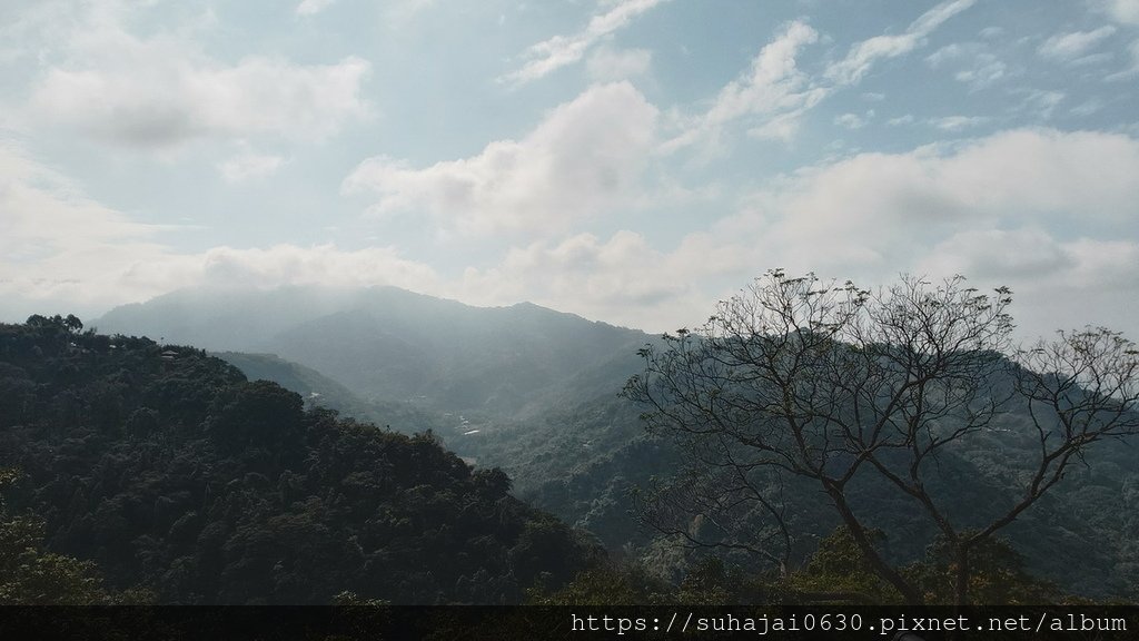20250119_140649_調整大小 .JPG