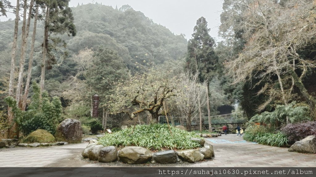 20250118_125802_調整大小 .JPG