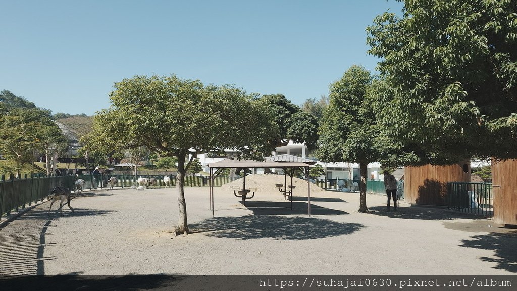 20241202_105558_調整大小 .JPG