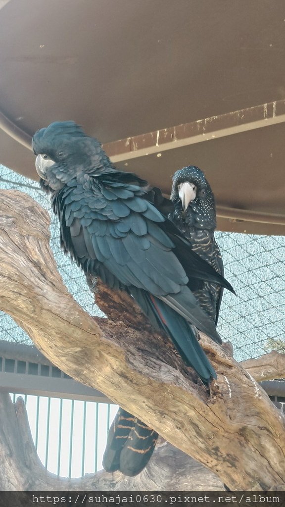 20241202_105702_調整大小 .JPG