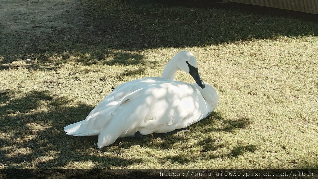 20241202_110309_調整大小 .JPG