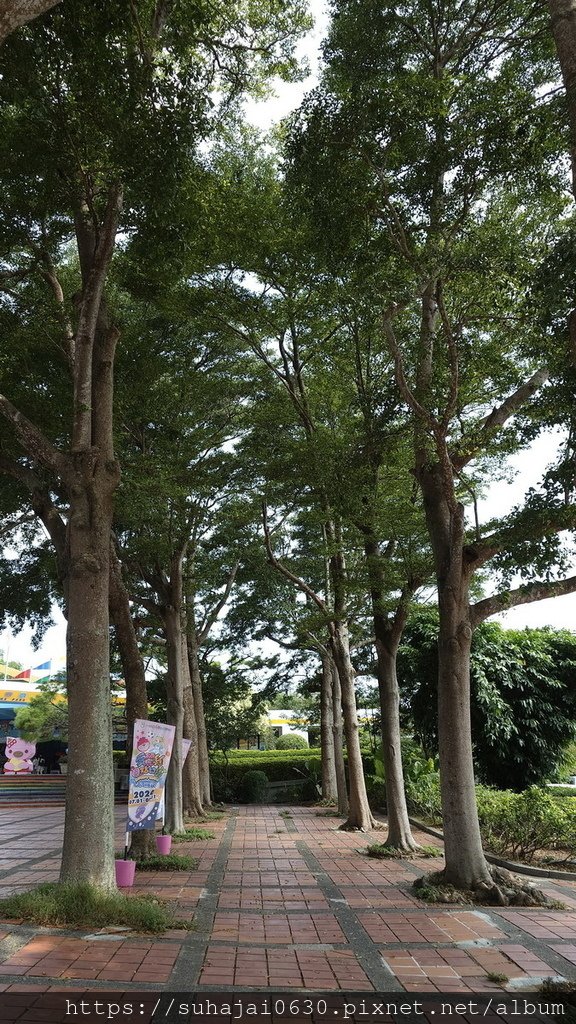 20240804_092341_調整大小 .JPG