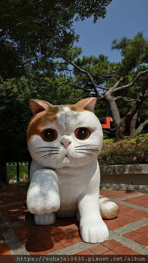 20240804_092427_調整大小 .JPG