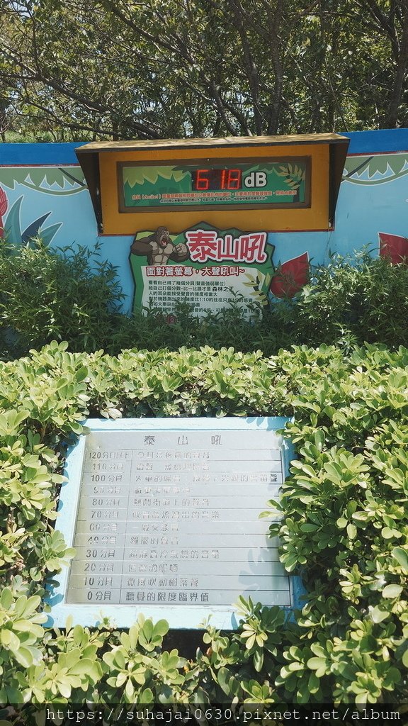 20240804_104453_調整大小 .JPG