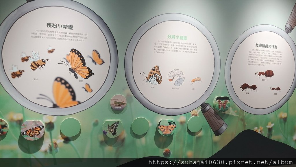 20240804_131349_調整大小 .JPG