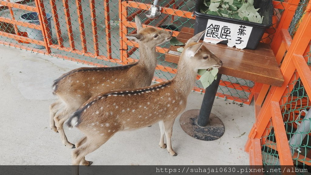 20241226_105412_調整大小 .JPG
