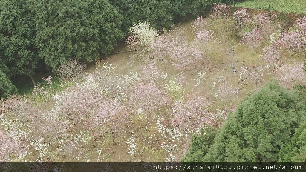20250223_103638_調整大小 .JPG