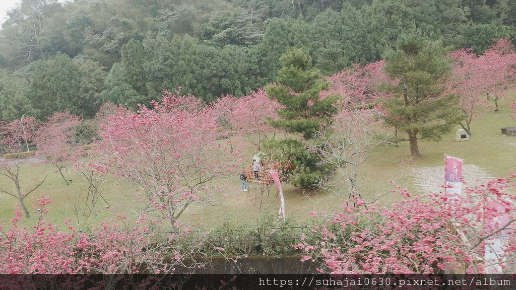 20250223_104708_調整大小 .JPG