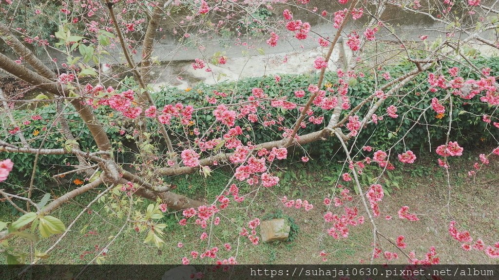 20250223_104822_調整大小 .JPG