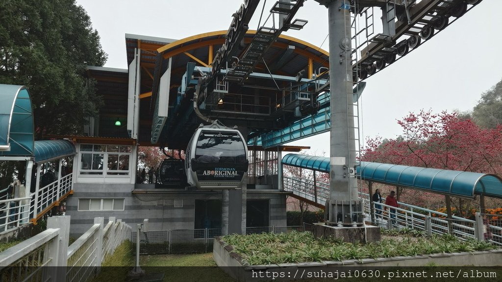 20250223_105101_調整大小 .JPG
