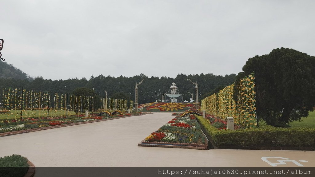 20250223_124726_調整大小 .JPG