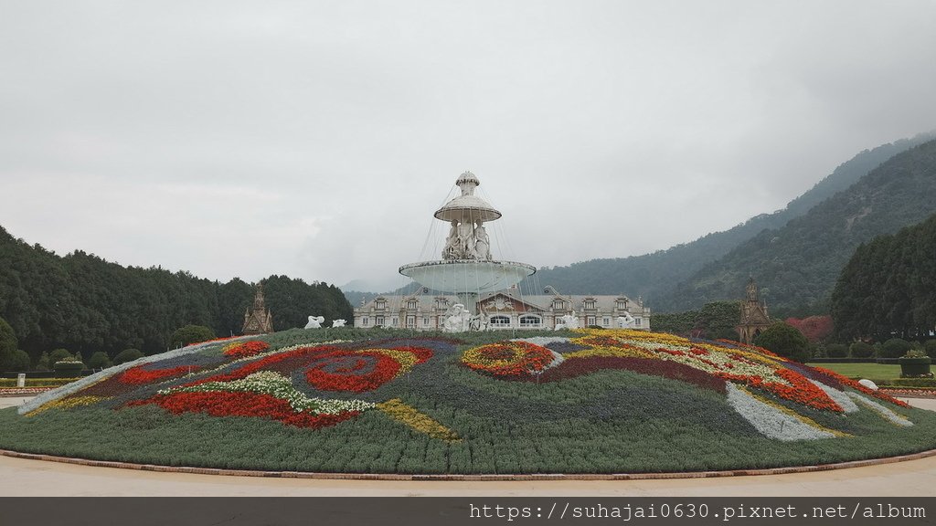 20250223_131131_調整大小 .JPG