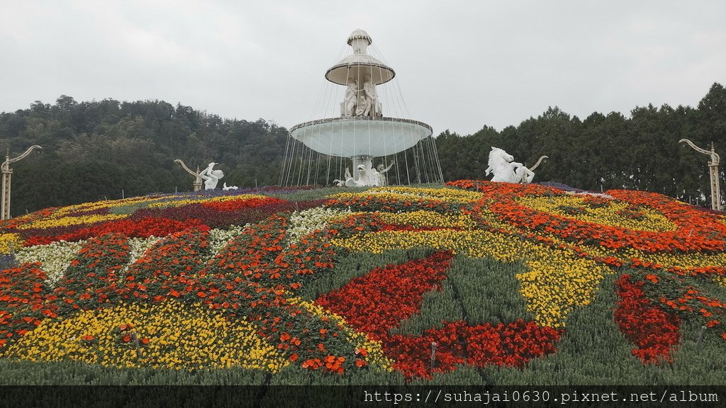 20250223_131244_調整大小 .JPG