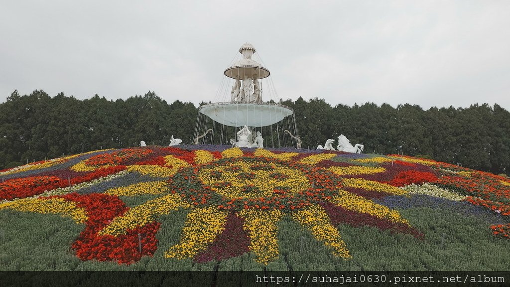 20250223_131227_調整大小 .JPG