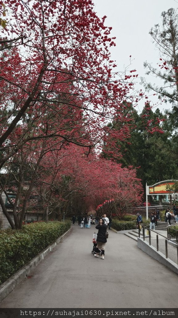 20250223_132842_調整大小 .JPG