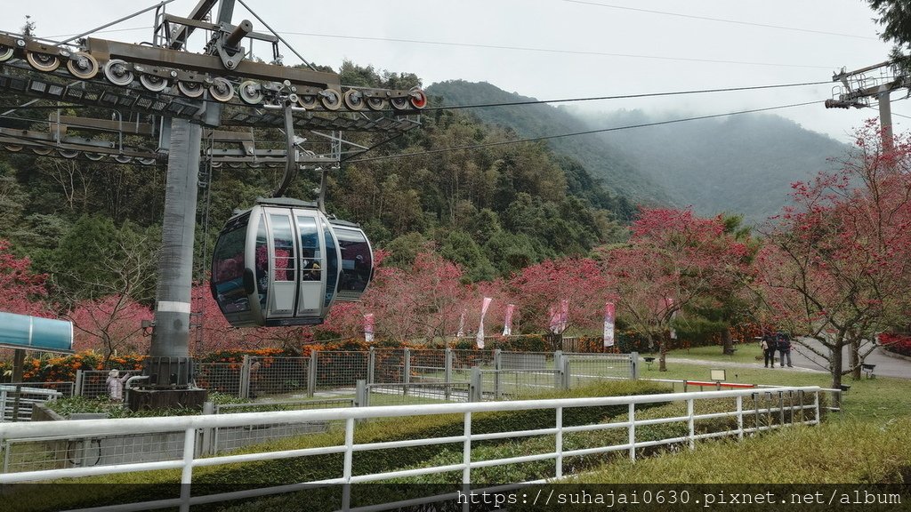 20250223_134253_調整大小 .JPG
