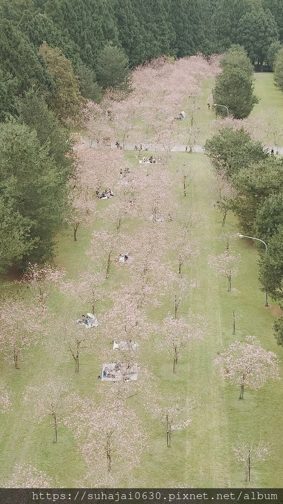 20250223_135234_調整大小 .JPG