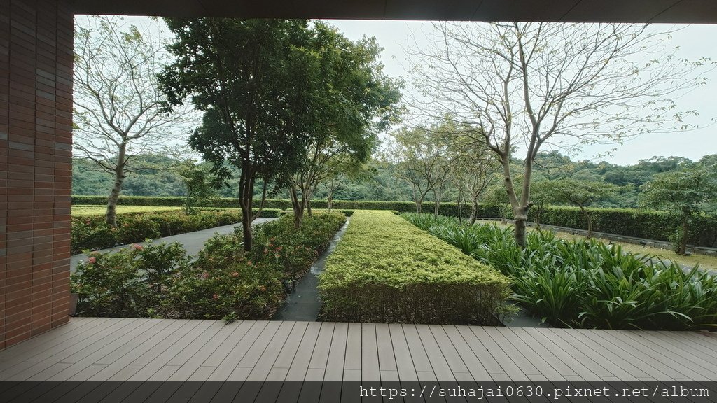 20241011_080648_調整大小 .JPG
