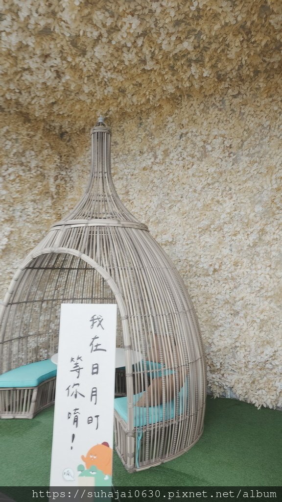 20250222_140658_調整大小 .JPG