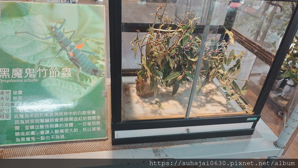 20250222_144118_調整大小 .JPG