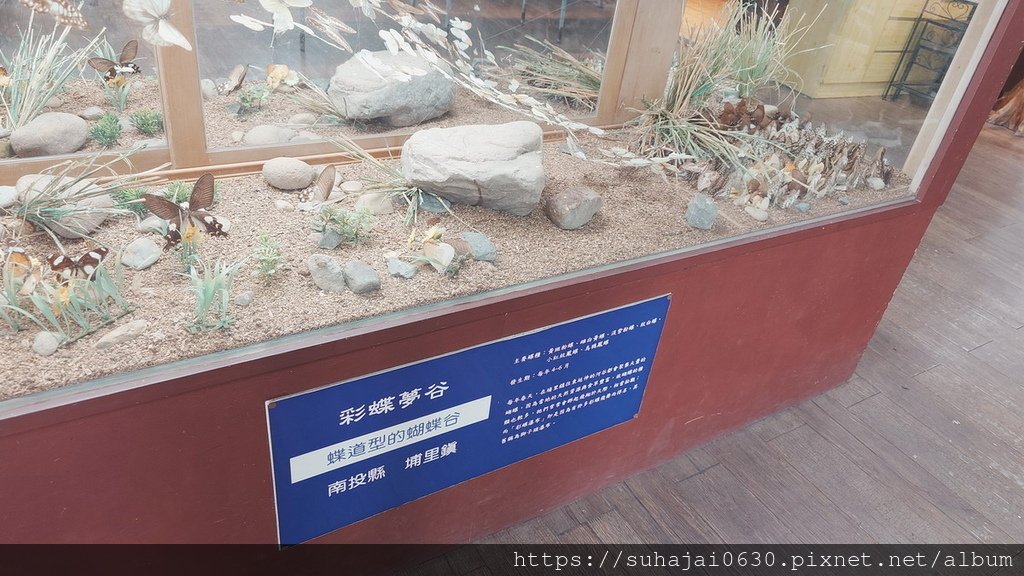20250222_144343_調整大小 .JPG