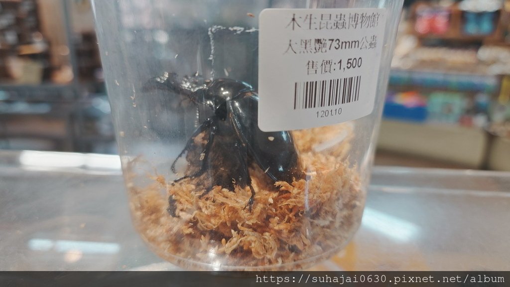 20250222_145050_調整大小 .JPG